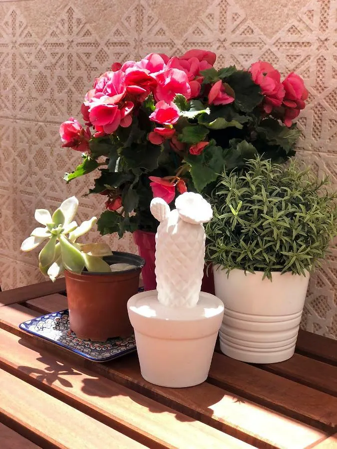 La Tierra Sur Apartment Malaga Center Spain
